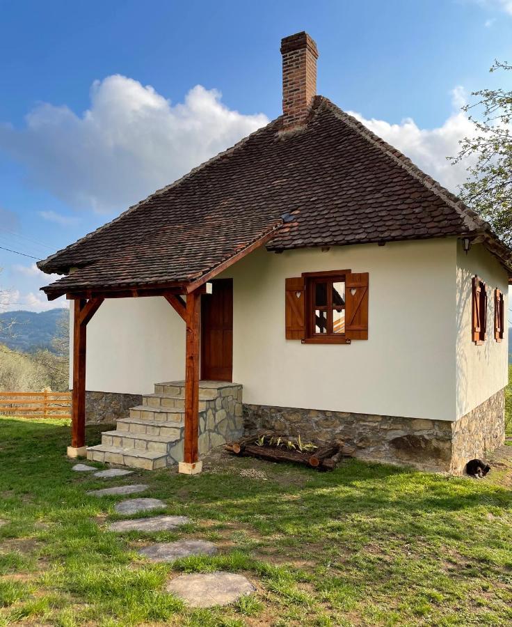 Rudnicki Eko Breg Villa Rudnik Kültér fotó