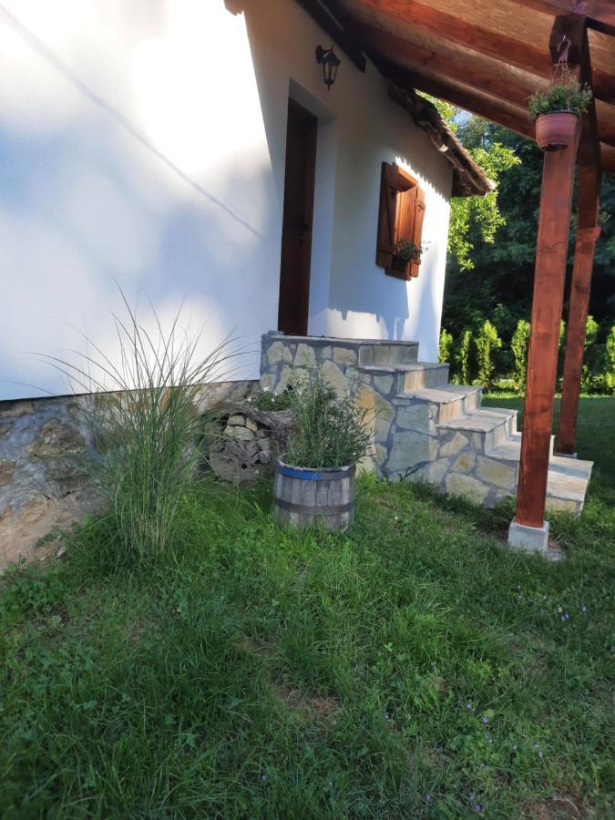 Rudnicki Eko Breg Villa Rudnik Kültér fotó