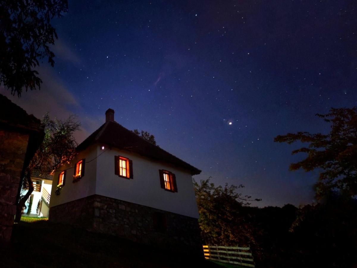 Rudnicki Eko Breg Villa Rudnik Kültér fotó